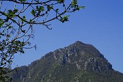 11 Zoom sulla cima del Monte Zucco